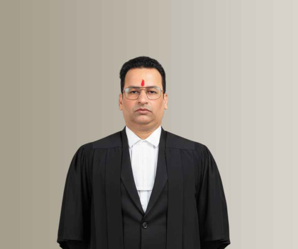 Advocate Vipulbhai