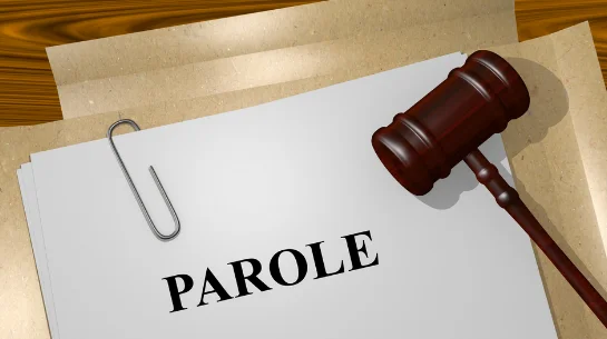 Himachal Pradesh Good Conduct Prisoners (Temporary Release) Act, 1968: High Court Grants Parole in Landmark Decision