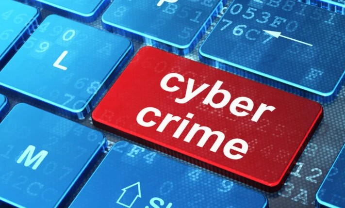 Cyber Crimes, Investigators Not Well Skilled, Delay In Investigation Can't Be Held Against Them: Punjab & Haryana High Court