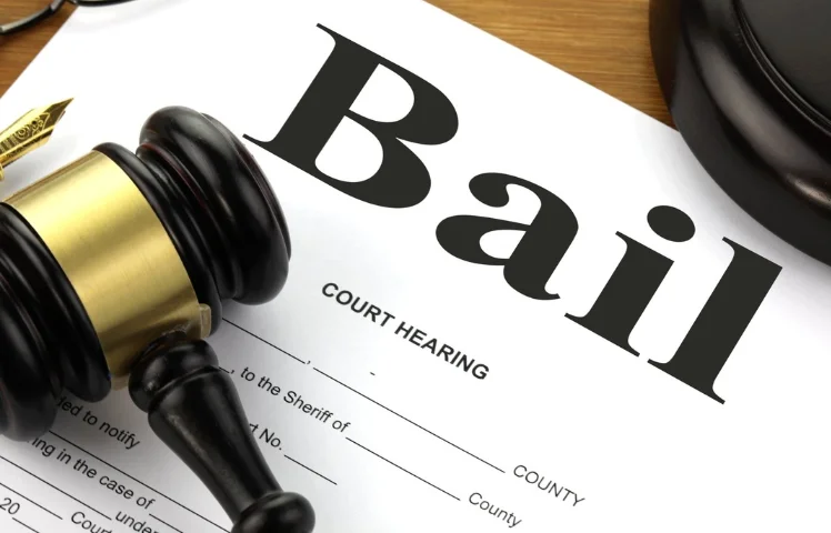 Court ruling on the grant of anticipatory bail in cases involving custody and multiple offenses: Orissa High Court's