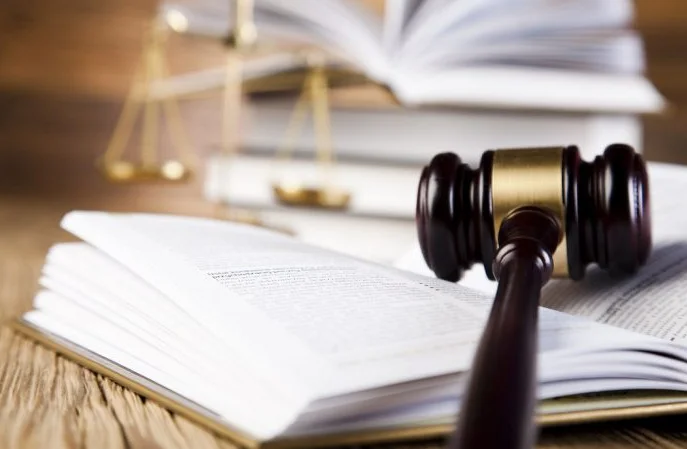 Court Rejects Review Petition, Citing Belated and Inconsistent Ownership Claims Over Government-Held Land After 70 Years: Kerala High Court