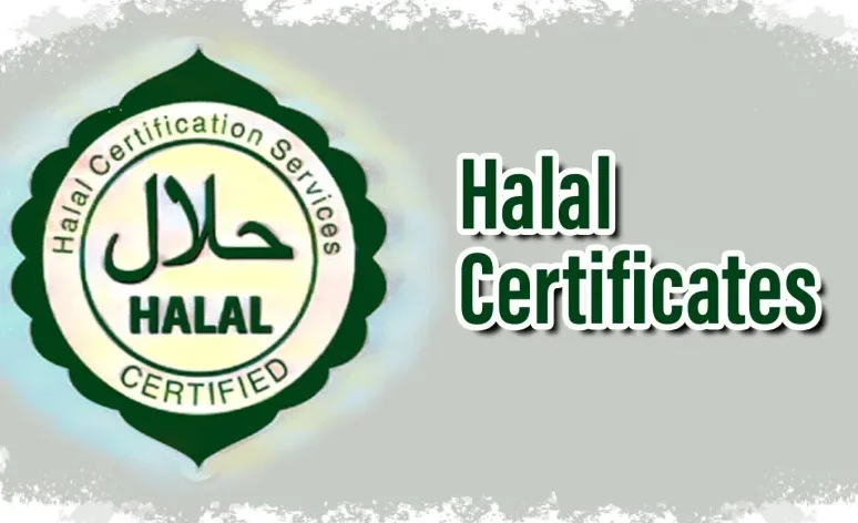 Court Grants Bail To 4 Persons Accused Of Issuing Fraudulent Halal Certificates, Hurting Religious Sentiments: Allahabad High Court