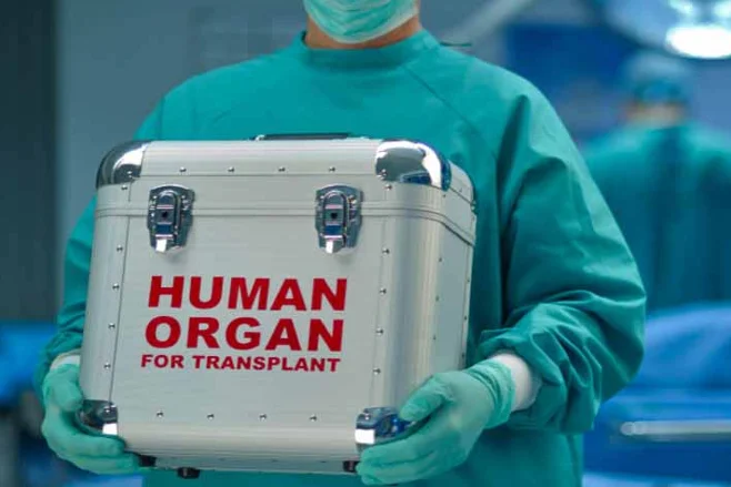 Inform Donor Or Recipient Via WhatsApp Or Email About Deficiencies In Organ Transplant Documents: Delhi High Court
