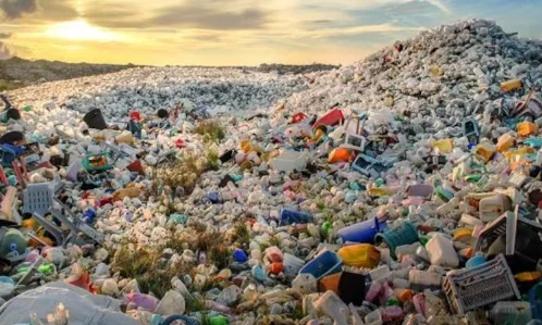 Plastic Ban Violations at Sabarimala: Kerala High Court Takes Action