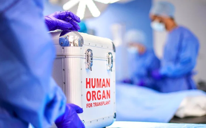 Medicare Is A Huge Business, Court Calls For Uniform Liberal Approach While Dealing With Applications For Approval Of Organ Donation: Madras High Court