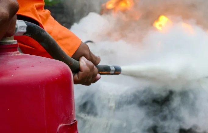 Decide Plea For Implementation Of Fire Safety Norms In Nursing Homes Within Four Weeks: High Court Delhi