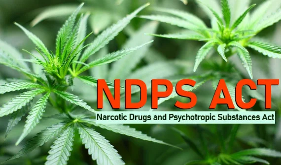 Section 37 of NDPS Act Does Not Guarantee Bail if Trial Delayed, Kerala High Court Dismisses Bail Plea in Drug Trafficking Case