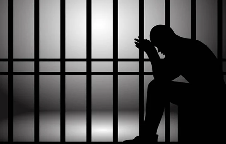 Court Grants 30-Day Parole to Life Convict for Wife Seeking Progeny: Karnataka High Cour