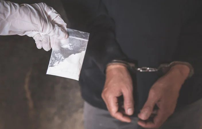NDPS Act, Court Grants Bail To Man Allegedly Found With Half Kg Heroin: Rajasthan High Court