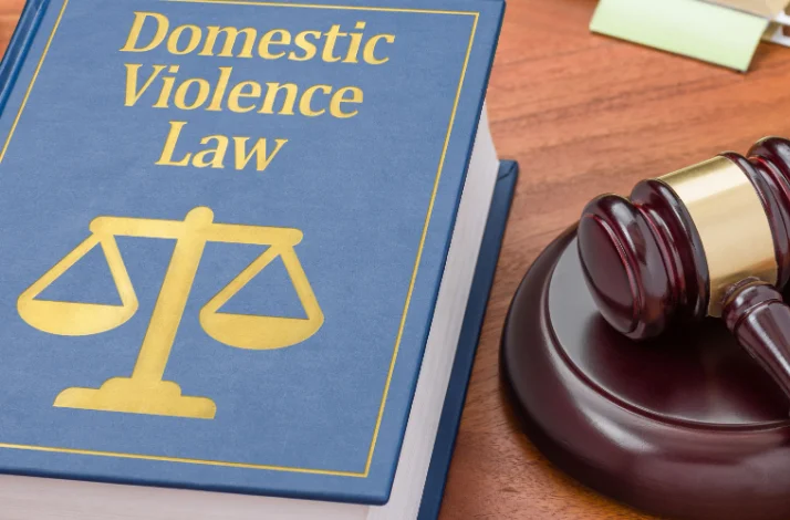 Domestic Violence Act, Divorced Wife Can't Be Evicted From 'Shared Household' Except With Procedure Established By Law: Kerala High Court