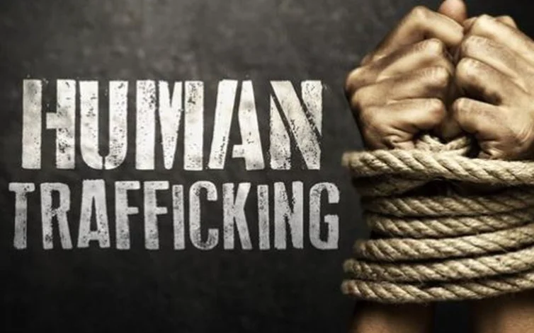 Object of anti-trafficking law is not to punish sex workers but to punish traffickers: Karnataka High Court