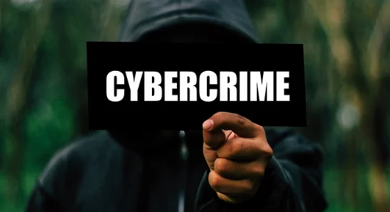 Orissa High Court Rebukes Cyber Crime Investigation Ineffectiveness, Demands State's Policies on Cybercrime