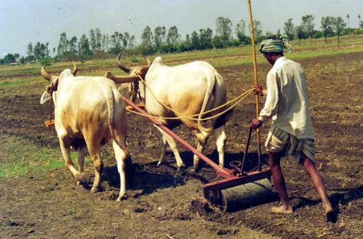 Hindu Deity Cannot Hold Land As 'Jagir' If Land Was Cultivated By Or Through Tenant: Rajasthan High Court