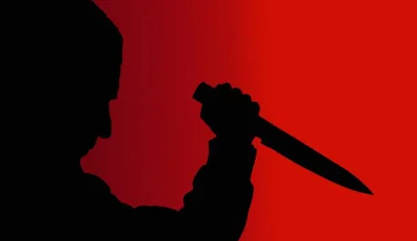 Stabbing Incident Leads to Conviction Under Section 302 of IPC: Kerala High Court