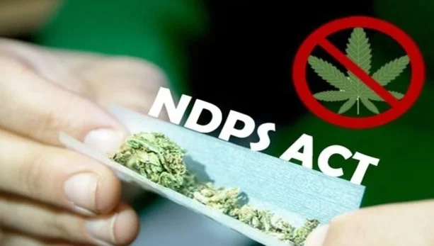 Bail Granted Under NDPS Act as High Court Cites Delay in Trial
