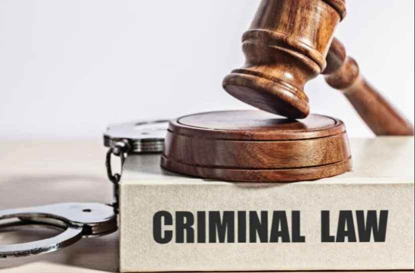Bail Granted in Sexual Assault Case, Article 21 Applies Irrespective Of Nature Of Crime, Accused Cannot Be Kept Behind Bars Indefinitely Without Progress In Trial: Bombay High Court