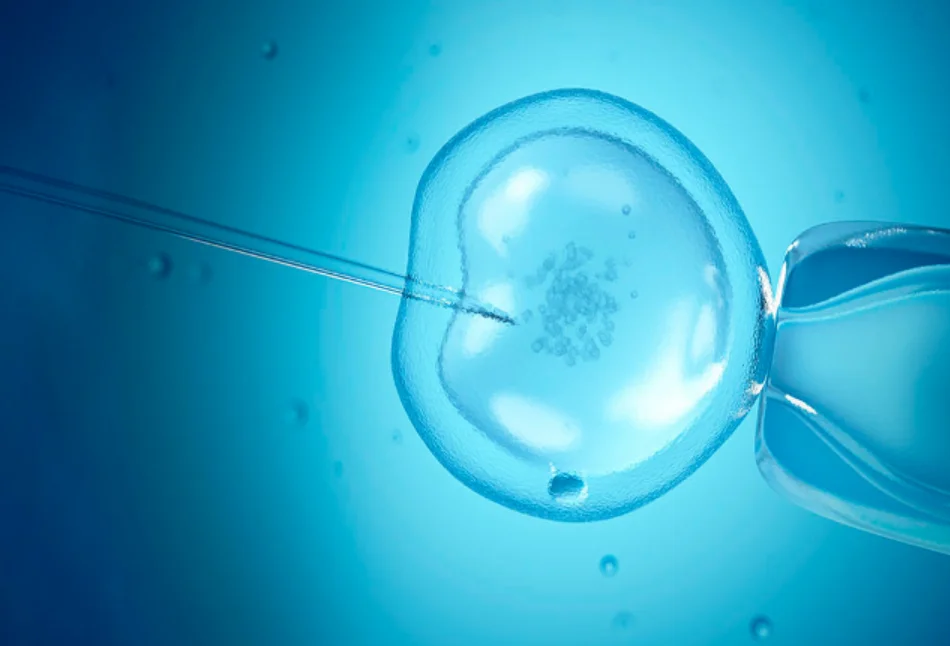 Merely Donating Eggs Or Sperm Does Not Make Donor A Biological Parent Of Child Born Through IVF: Bombay High Court