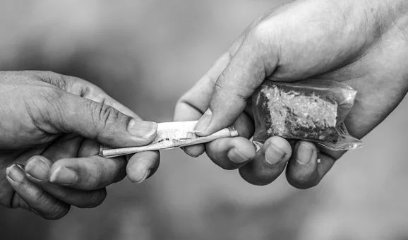 Drug Trafficking: Court Suggests Procedure Of Destroying Seized Contraband Should Be Monitored By Judicial Officer: Punjab & Haryana High Court