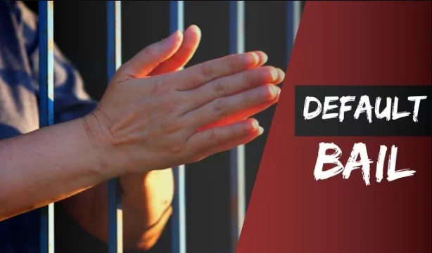 Supreme Court Clarifies: Accused Cannot Seek Default Bail Based on Pending Investigation or Incomplete Chargesheet