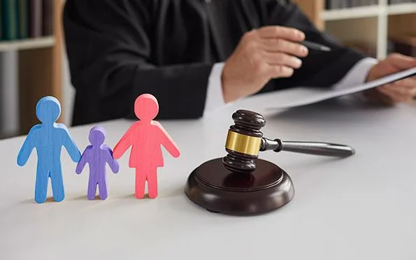 High Court Raises Serious Concerns over Police Procedural Violations in Child Custody Case