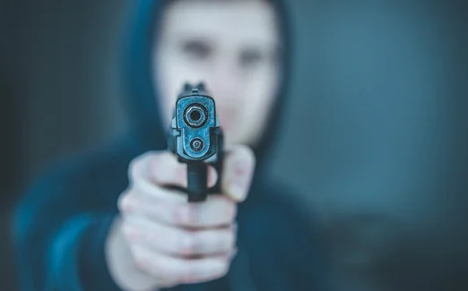Renowned Shooter's Victory: Karnataka High Court Affirms Right to 10 Arms and 1 Lakh Ammunition, Quashes Final Notice Under Arms Act, 1959
