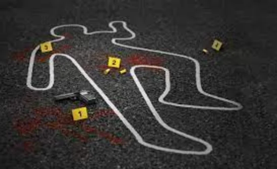 Wife's Refusal To Return Home With Husband Provoked Him, Murder Not Premeditated: Telangana High Court Modifies Conviction U/S 302 IPC