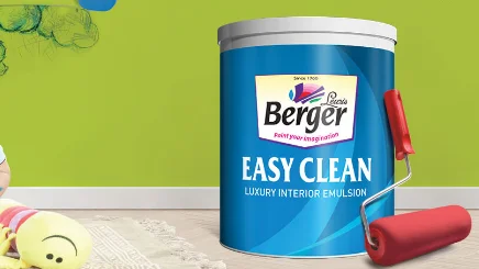 Calcutta High Court Dismisses Berger's Trademark Plea: 