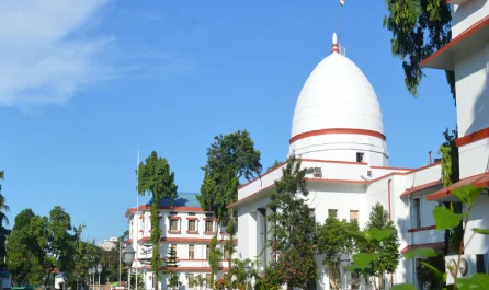 Fundamental Right to Promotion: Gauhati High Court's Landmark Decision in Syed Habibur Rahman's Case