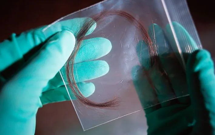 Court Acquits Appellant in Murder Case, Emphasizes Caution on Relying Solely on 'Microscopic Hair Comparison' Evidence: Orissa High Court