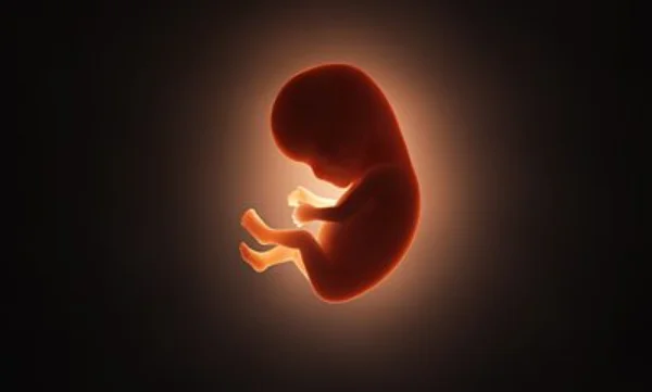 Central Government Introduces Amendment to Surrogacy Rules, 2022 - Allows Use of Donor Gametes in Specific Cases