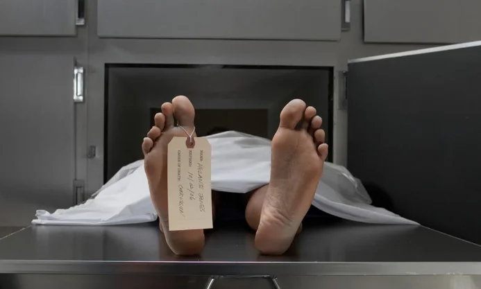 Legal Representatives Protected: Rajasthan High Court Bars Inquiry or Recovery Proceedings Against Deceased Persons