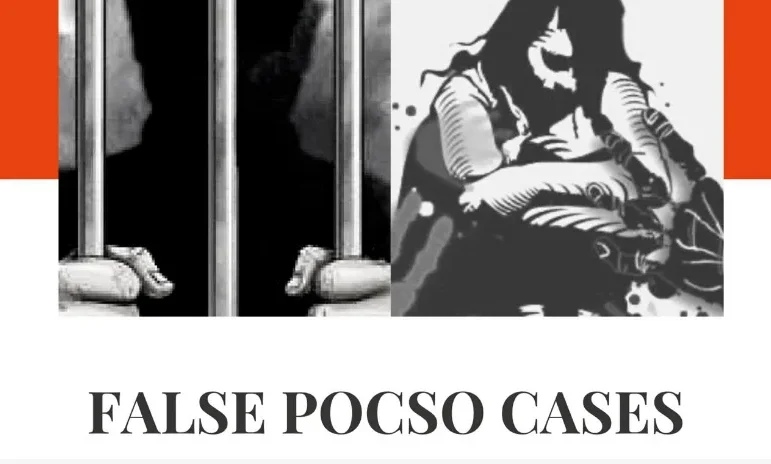 POCSO Case Allegations Found False: The judgment acknowledged the petitioner's clean antecedent and the potential falsity of the allegations.