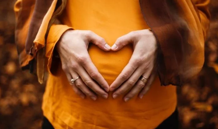 Court Upholds FIR Against Ayurveda Doctor in Alleged Pregnancy Termination Case: Punjab and Haryana High Court