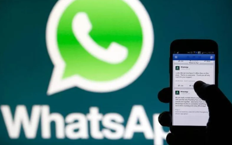 Clears Govt Employee in WhatsApp Group Forwarding Case: Madhya Pradesh High Court Upholds Privacy