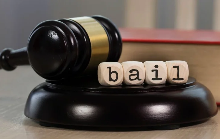 Supreme Court Grants Bail to Litigant Charged with Contempt for Non-Payment and Contemptuous Remarks