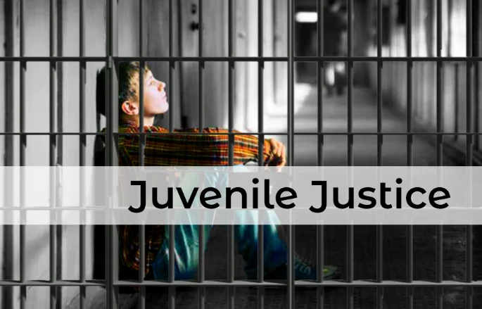 High Court Takes Action Against Petitioner for Contemptuous Allegations in Juvenile Justice Act Case