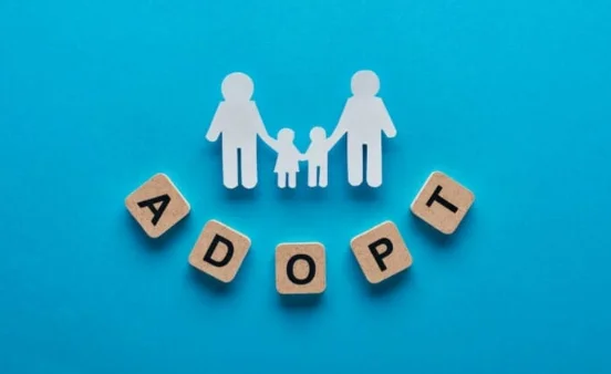 Landmark Judgment on Adoption: Court Declines Swiss Citizen's Plea Against Adoption Agency