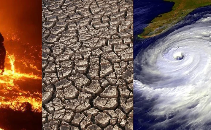 Landmark Decision: Supreme Court Recognizes Right to Be Free From Adverse Effects of Climate Change