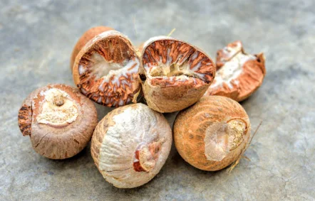 Shelf-life of betel nut is limited, Madras High Court directs customs officials to expedite verification in betel nut import case