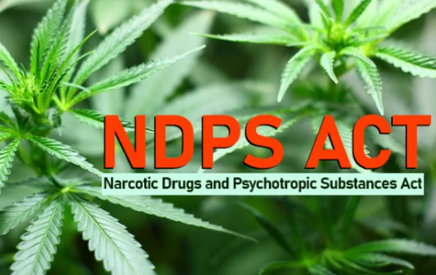 Supreme Court Clarifies: NDPS Act's Search & Seizure Rules Not in Conflict with Constitutional Protections